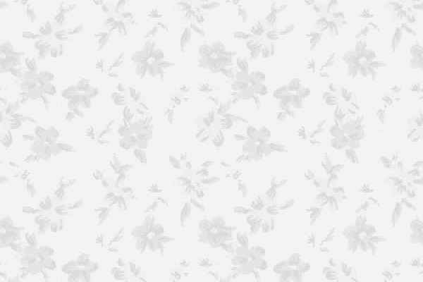 Grey-Floral-Pattern-for-Website-Background - FLIP National